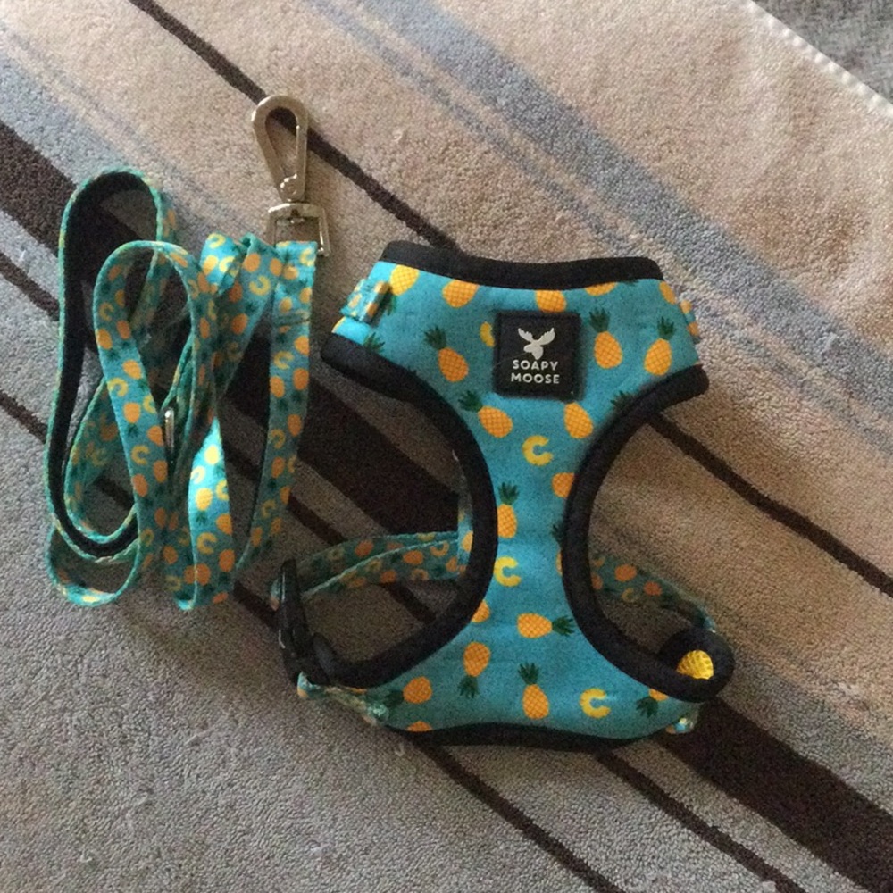 Soapy Moose harness and leash set, EEEEEEEEEUC